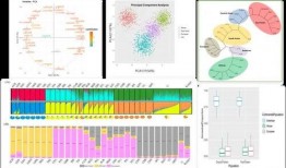 赣州爆料走丢女孩事件视频,视频揭示惊心动魄寻人历程
