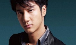 吃瓜网红王力宏简介视频,吃瓜网红背后的音乐传奇